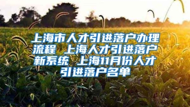 上海市人才引进落户办理流程 上海人才引进落户新系统 上海11月份人才引进落户名单