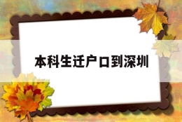 本科生迁户口到深圳(本科迁户口到深圳政策)