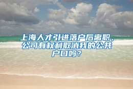 上海人才引进落户后离职，公司有权利取消我的公共户口吗？