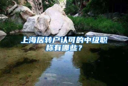 上海居转户认可的中级职称有哪些？