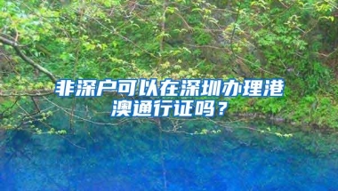 非深户可以在深圳办理港澳通行证吗？