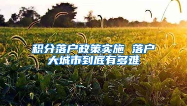 积分落户政策实施 落户大城市到底有多难