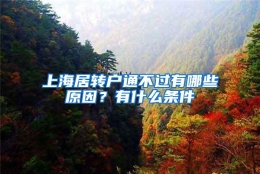 上海居转户通不过有哪些原因？有什么条件