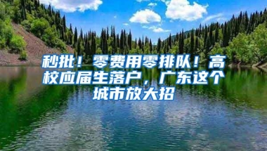 秒批！零费用零排队！高校应届生落户，广东这个城市放大招