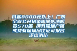 月薪8000元以上！广东全省公开招录国家队消防员570名 拥有深圳户籍或持有深圳居住证可报名深圳消防