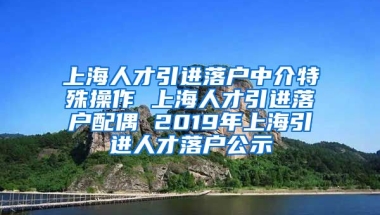 上海人才引进落户中介特殊操作 上海人才引进落户配偶 2019年上海引进人才落户公示