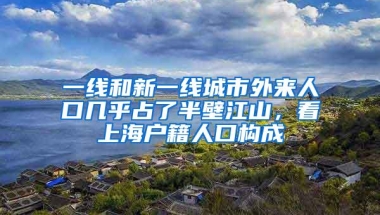 一线和新一线城市外来人口几乎占了半壁江山，看上海户籍人口构成