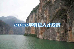 2022年引进人才政策