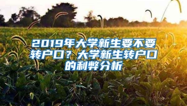 2019年大学新生要不要转户口？大学新生转户口的利弊分析