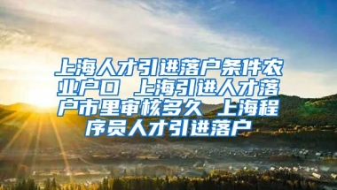 上海人才引进落户条件农业户口 上海引进人才落户市里审核多久 上海程序员人才引进落户