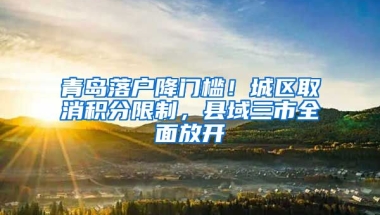 青岛落户降门槛！城区取消积分限制，县域三市全面放开