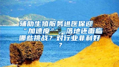 辅助生殖服务进医保迎“加速度”，落地还面临哪些挑战？对行业非利好？