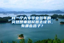 我一个大专毕业多年的，突然想重回校园去读书，有哪些路子？