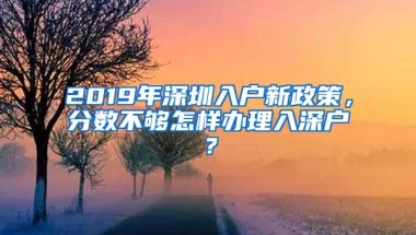 2019年深圳入户新政策，分数不够怎样办理入深户？