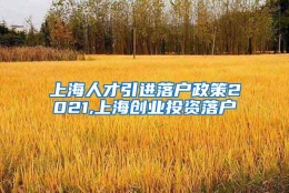 上海人才引进落户政策2021,上海创业投资落户