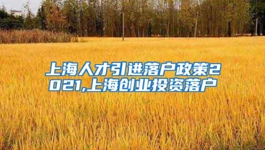 上海人才引进落户政策2021,上海创业投资落户