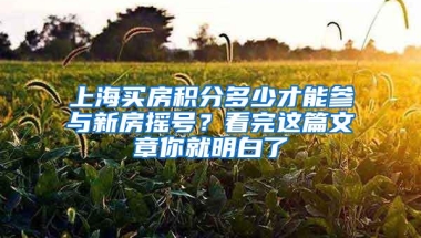 上海买房积分多少才能参与新房摇号？看完这篇文章你就明白了