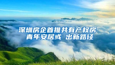 深圳房企首推共有产权房 青年安居或蹚出新路径