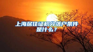 上海居住证积分落户条件是什么？