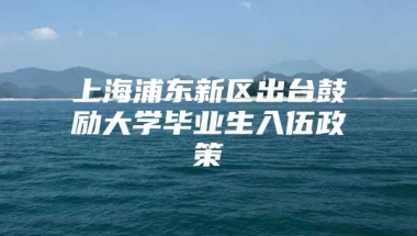 上海浦东新区出台鼓励大学毕业生入伍政策