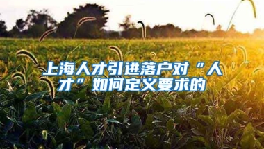 上海人才引进落户对“人才”如何定义要求的