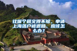 社保个税交得不够，申请上海落户被退回，应该怎么办？