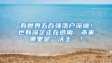 有世界五百强落户深圳！也有深企正在逃离，未来哪里是“沃土”？