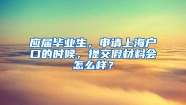 应届毕业生，申请上海户口的时候，提交假材料会怎么样？