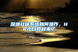 深圳社保系统如何操作，HR小白教程来了