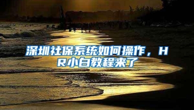 深圳社保系统如何操作，HR小白教程来了