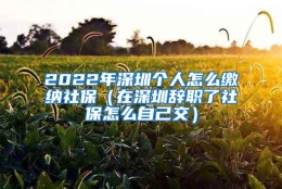 2022年深圳个人怎么缴纳社保（在深圳辞职了社保怎么自己交）