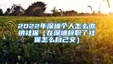 2022年深圳个人怎么缴纳社保（在深圳辞职了社保怎么自己交）