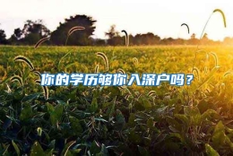 你的学历够你入深户吗？