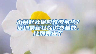 本月起社保应该缴多少？深圳最新社保缴费基数、比例表来了