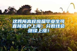 这四所高校应届毕业生可直接落户上海：分数线会继续上涨！