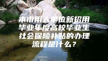 本市用人单位新招用毕业年度高校毕业生社会保险补贴的办理流程是什么？