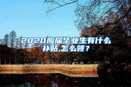 2020应届毕业生有什么补贴,怎么领？