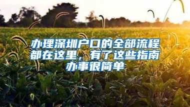 办理深圳户口的全部流程都在这里，有了这些指南办事很简单