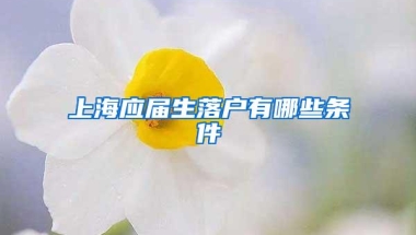 上海应届生落户有哪些条件