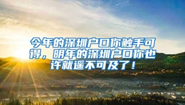 今年的深圳户口你触手可得，明年的深圳户口你也许就遥不可及了！