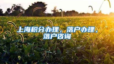 上海积分办理，落户办理，落户咨询