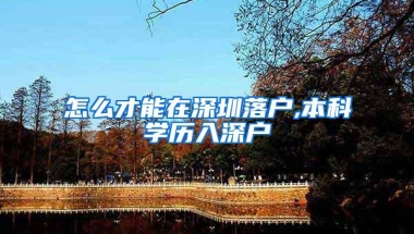 怎么才能在深圳落户,本科学历入深户