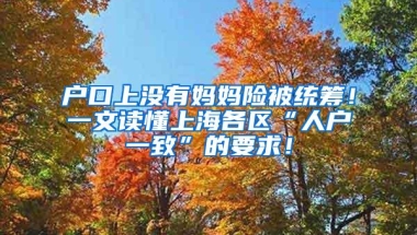 户口上没有妈妈险被统筹！一文读懂上海各区“人户一致”的要求！