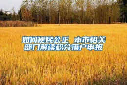 如何便民公正 本市相关部门解读积分落户申报