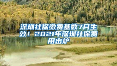 深圳社保缴费基数7月生效！2021年深圳社保费用出炉