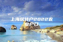 上海居转户2022农业户口