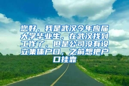 您好，我是武汉今年应届大学毕业生，在武汉找到工作了，但是公司没有设立集体户口，之前想把户口挂靠