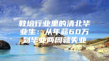 教培行业里的清北毕业生：从年薪60万到毕业两周就失业