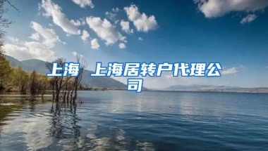 上海 上海居转户代理公司