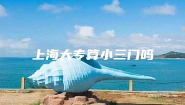 上海大专算小三门吗